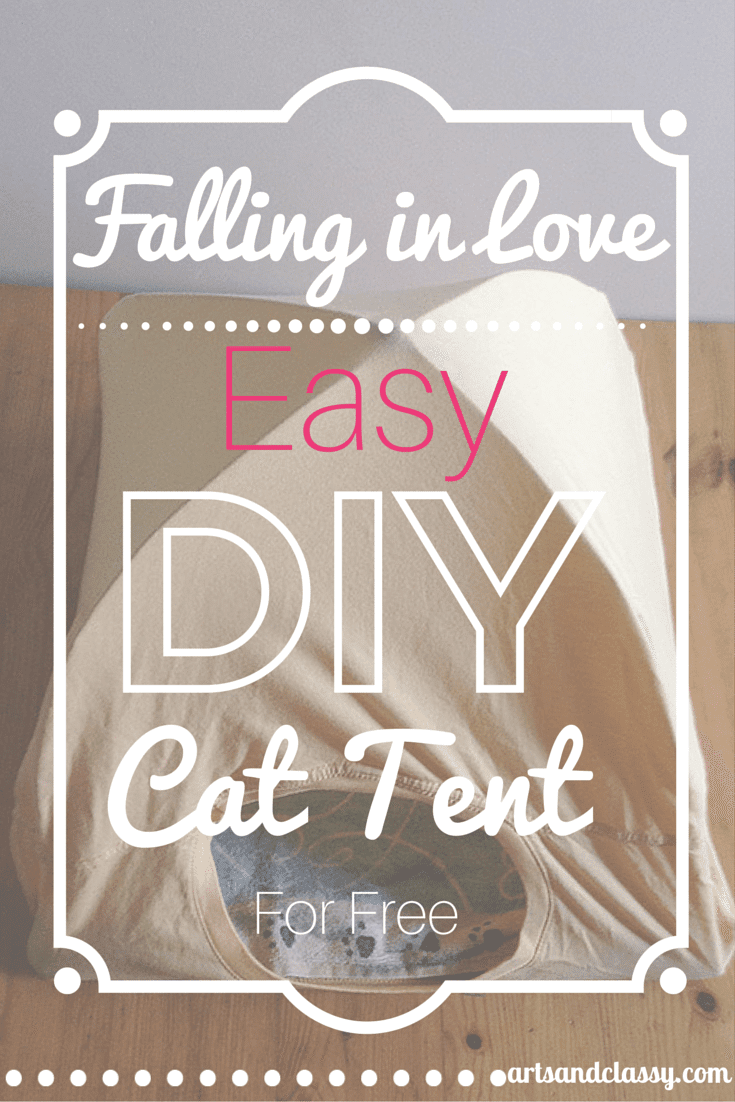Falling in Love - Easy DIY Cat Tent made for FREE! Find out how at www.artsandclassy.com