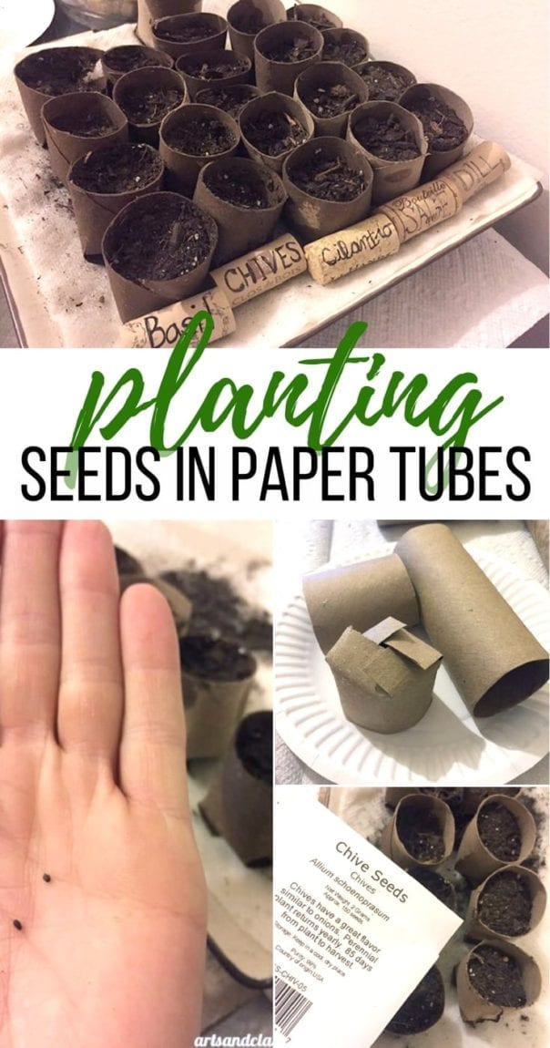 How to start an herb garden with this paper tube seed planting technique. Follow this tutorial to start your seeds and recycle those paper tubes in the process.