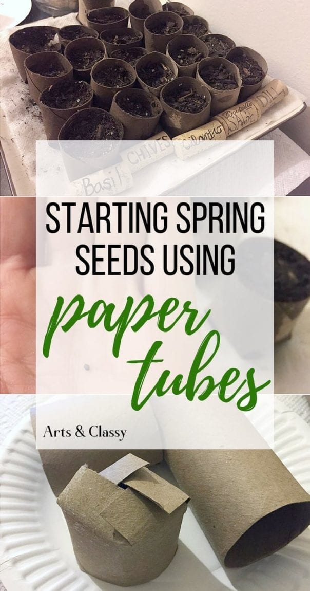 How to start an herb garden with this paper tube seed planting technique. Follow this tutorial to start your seeds and recycle those paper tubes in the process.