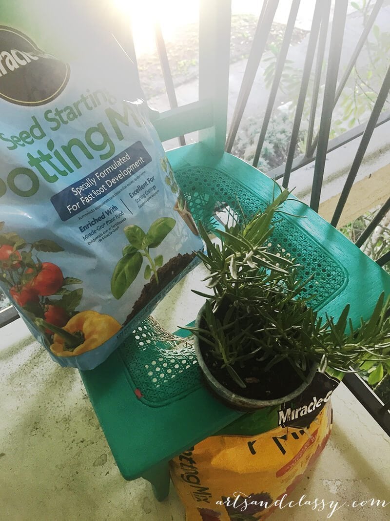 Upcycle Project - Broken Cane Back Chair Gets an New Life as a Planter