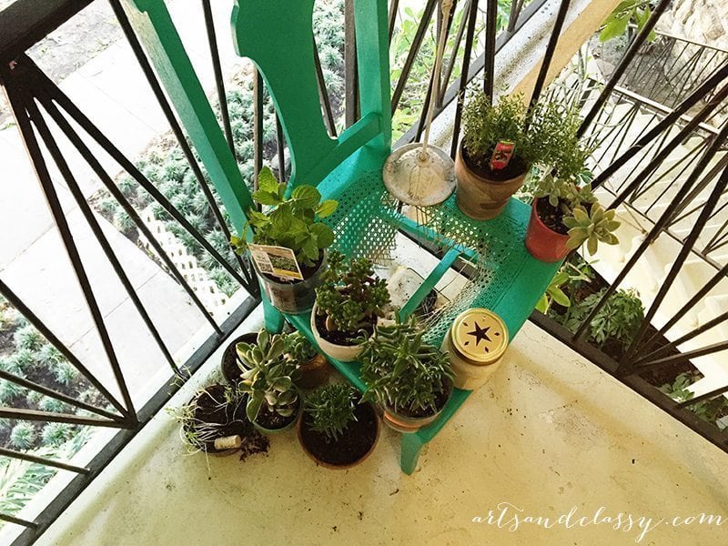 Upcycle Project - Broken Cane Back Chair Gets an New Life as a Planter