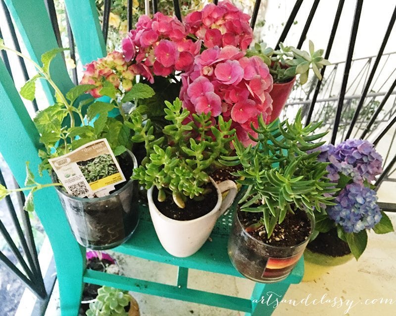 Upcycle Project - Broken Cane Back Chair Gets an New Life as a Planter