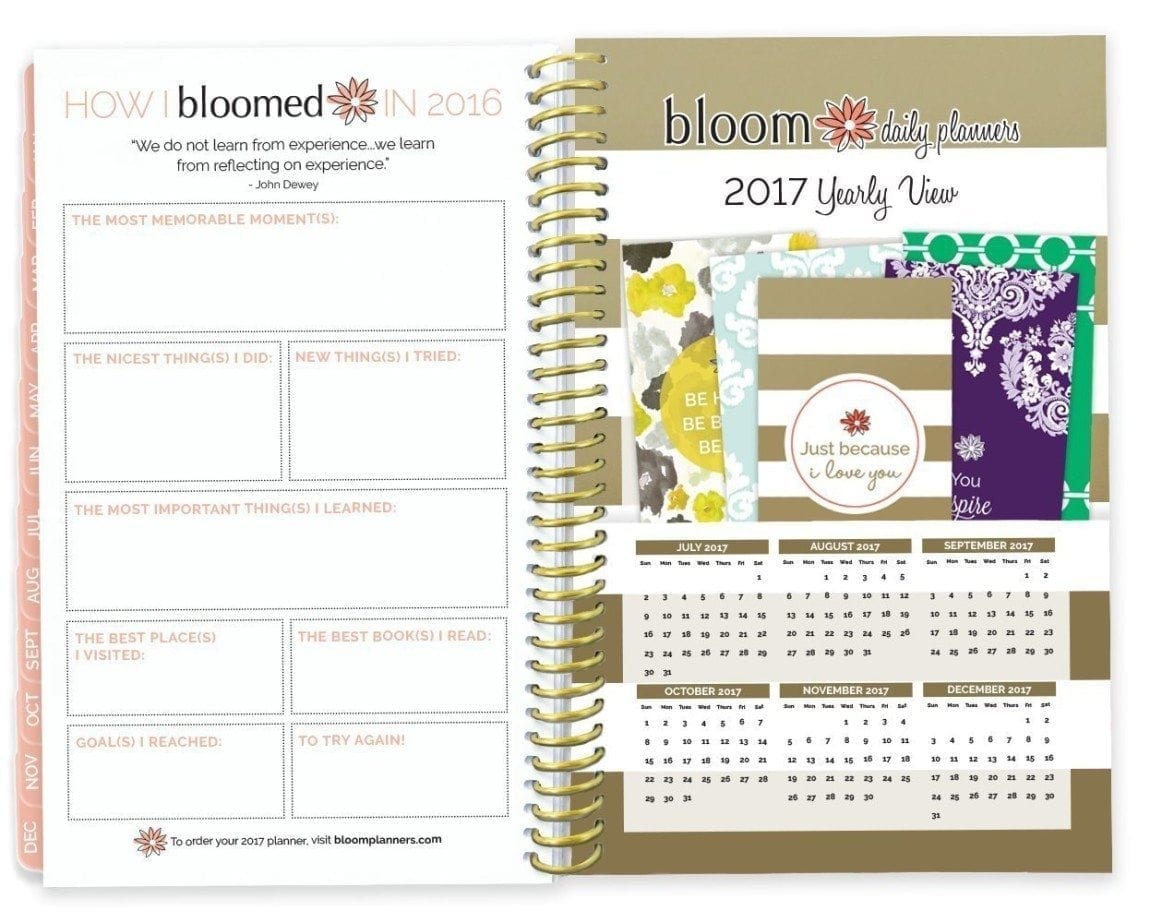 Bloom Daily Planners 2016 Calendar Year Daily Planner - Passion:Goal Organizer - Monthly Weekly Agenda Datebook Diary - January 2016 - December 2016 - 6%22 x 8.25%22 - Gold-01