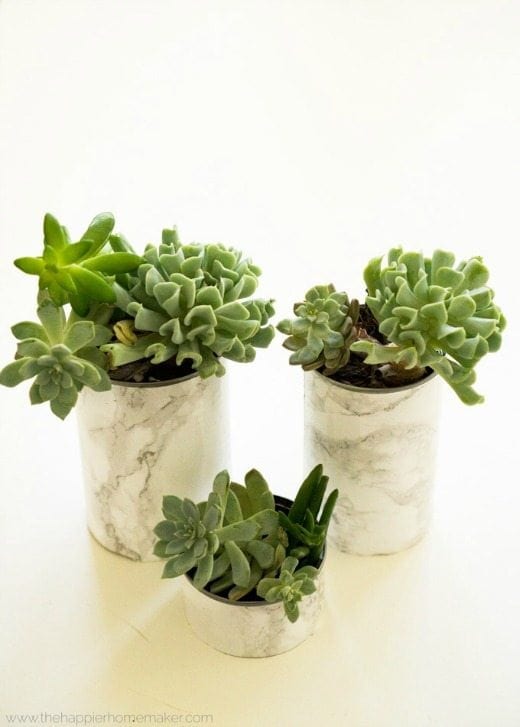 Faux Marble Succulent Planters - These DIY Faux Marble Decor tutorials are surprisingly easy and budget friendly. Whether you want to tackle a faux-finish or use marble contact paper, there are DIY ideas for every decorator | faux marble counter tops, coffee tables, and decor accessories.