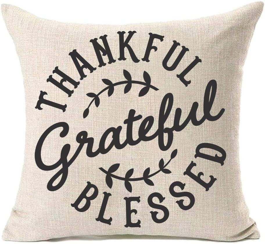 Fall Decor Throw Pillow Covers with Thankful Grateful Blessed Quotes Thanksgiving Day Home Decorations Pillow Cover Farmhouse Decorative Cushion Case for Sofa Bedroom