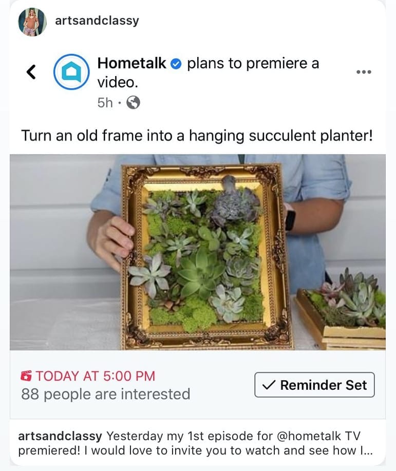 Easy DIY Living Succulent Frame Tutorial