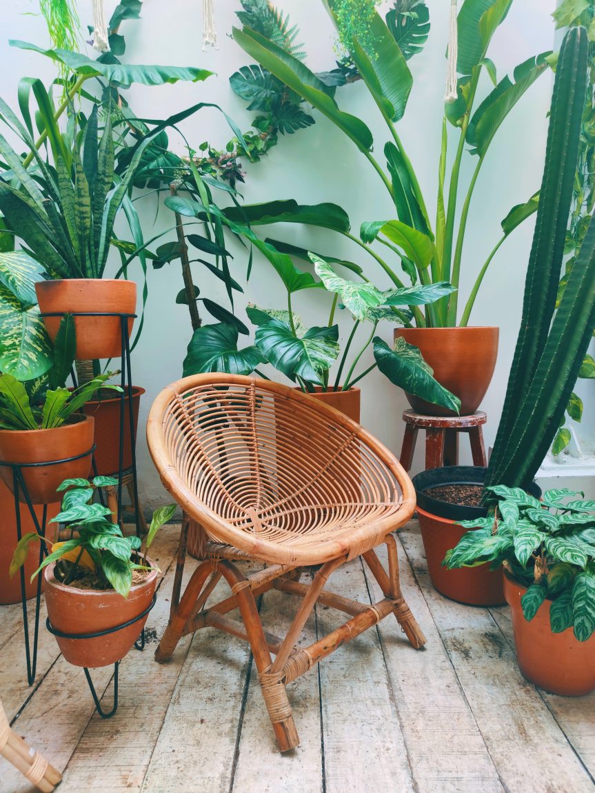 A Step By Step Guide To Creating A Balcony Garden, An Ideal Spot To Grow Vegetables, Flowers And Fruit.