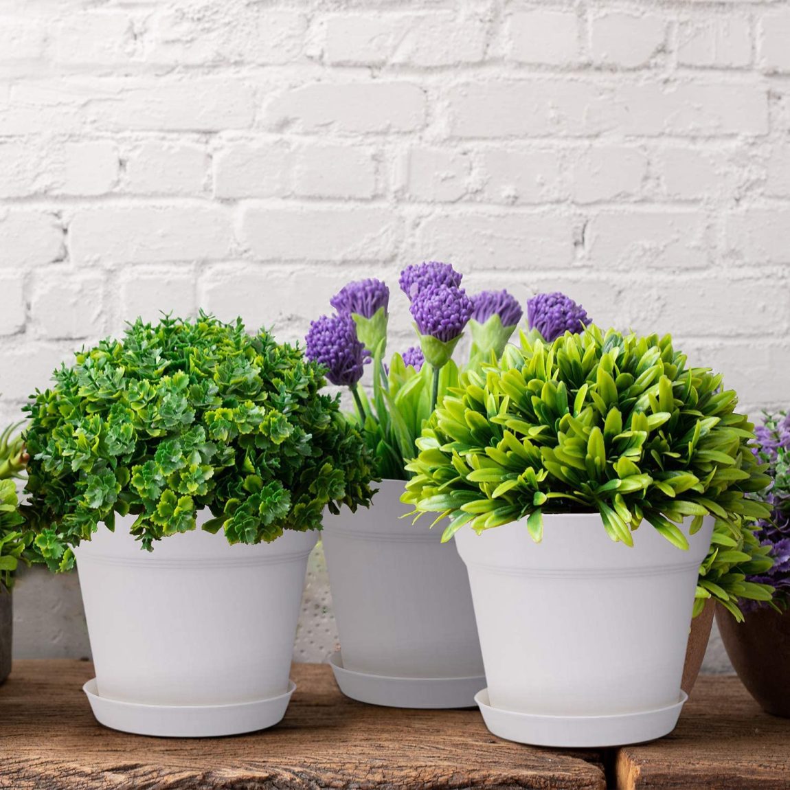 A Step By Step Guide To Creating A Balcony Garden, An Ideal Spot To Grow Vegetables, Flowers And Fruit.