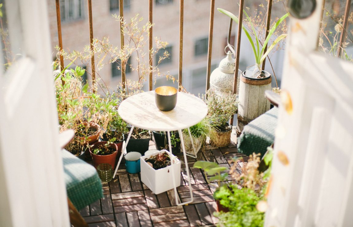 A Step By Step Guide To Creating A Balcony Garden, An Ideal Spot To Grow Vegetables, Flowers And Fruit.