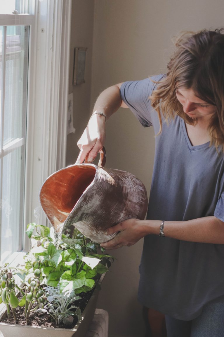 A Step By Step Guide To Creating A Balcony Garden, An Ideal Spot To Grow Vegetables, Flowers And Fruit.