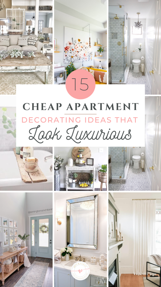 15 Cheap Apartment Decorating Ideas That Look Luxurious