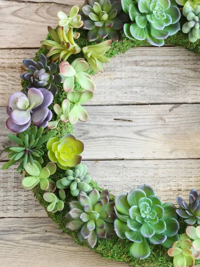 13 Easy DIY Spring Wreaths