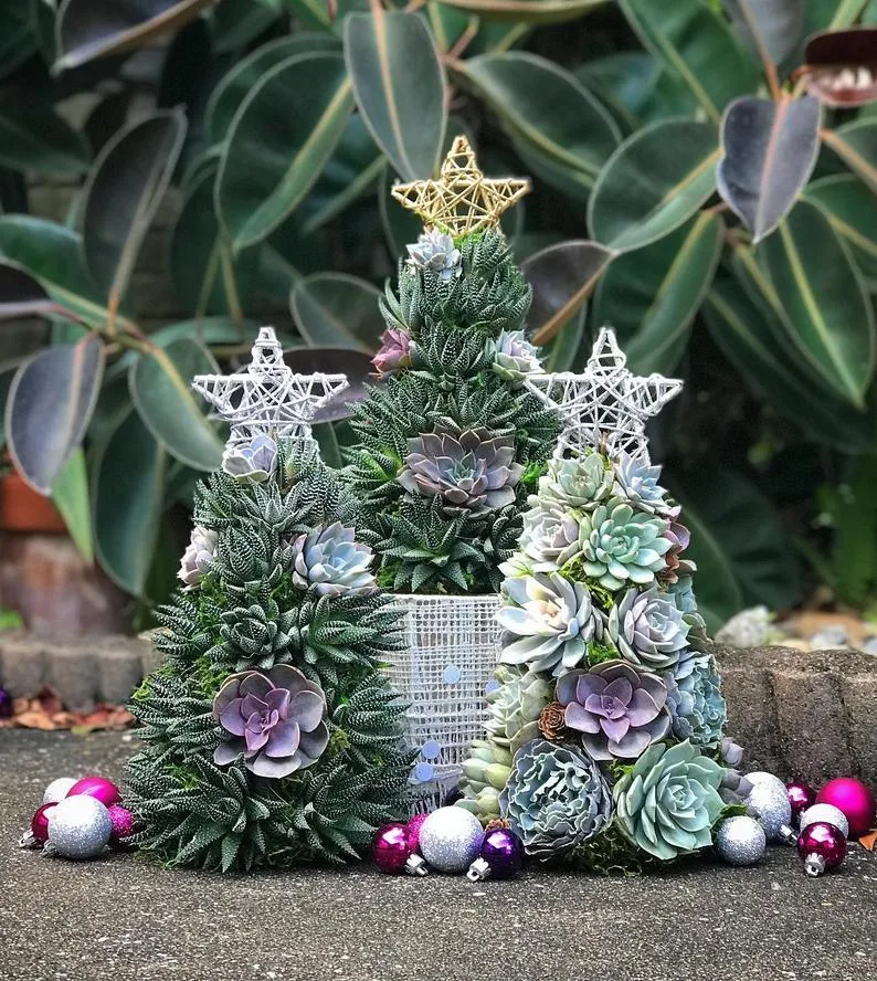 Succulent Celebrations: Modern Christmas Decor. Bring a modern touch to your holiday decor with potted succulents. Explore creative ways to incorporate these trendy plants into your festive setting.