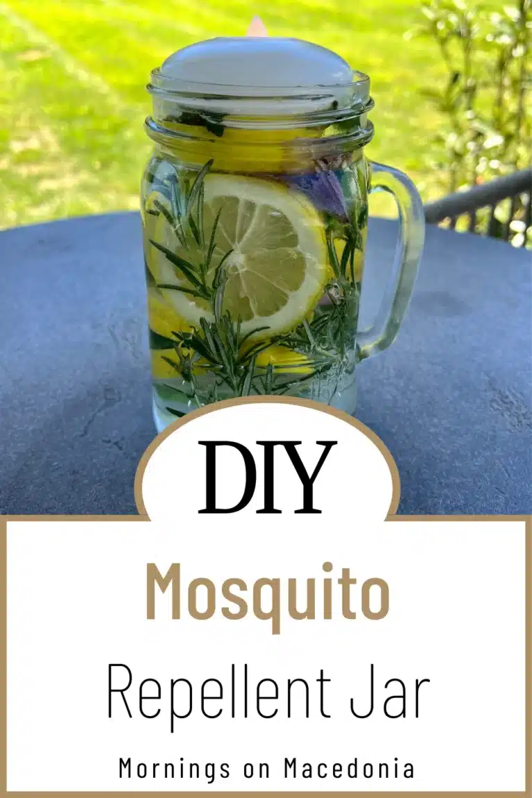 Best Herbs For DIY Mosquito Repellent