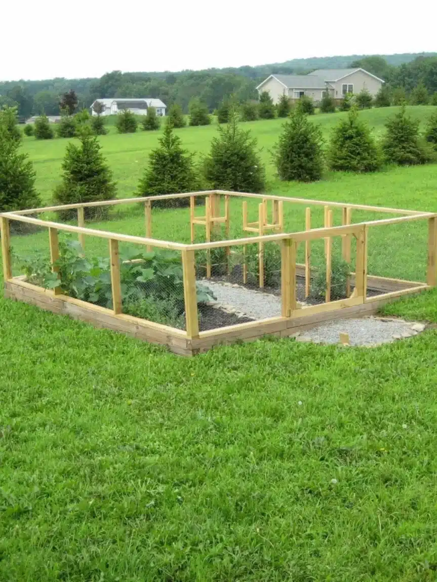 How to Build Your First Vegetable Garden