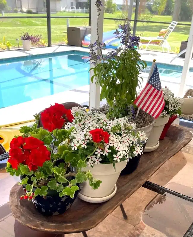 Red White and Bloom! Rustic Dough Bowl Centerpiece
