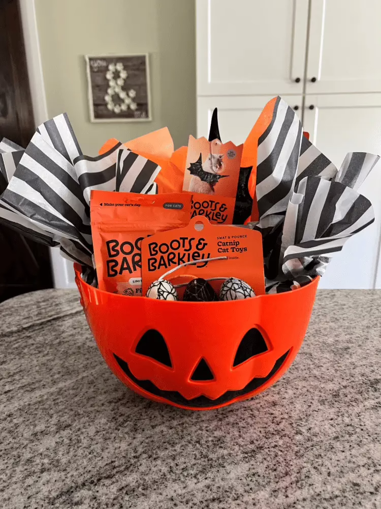 Halloween Basket Ideas